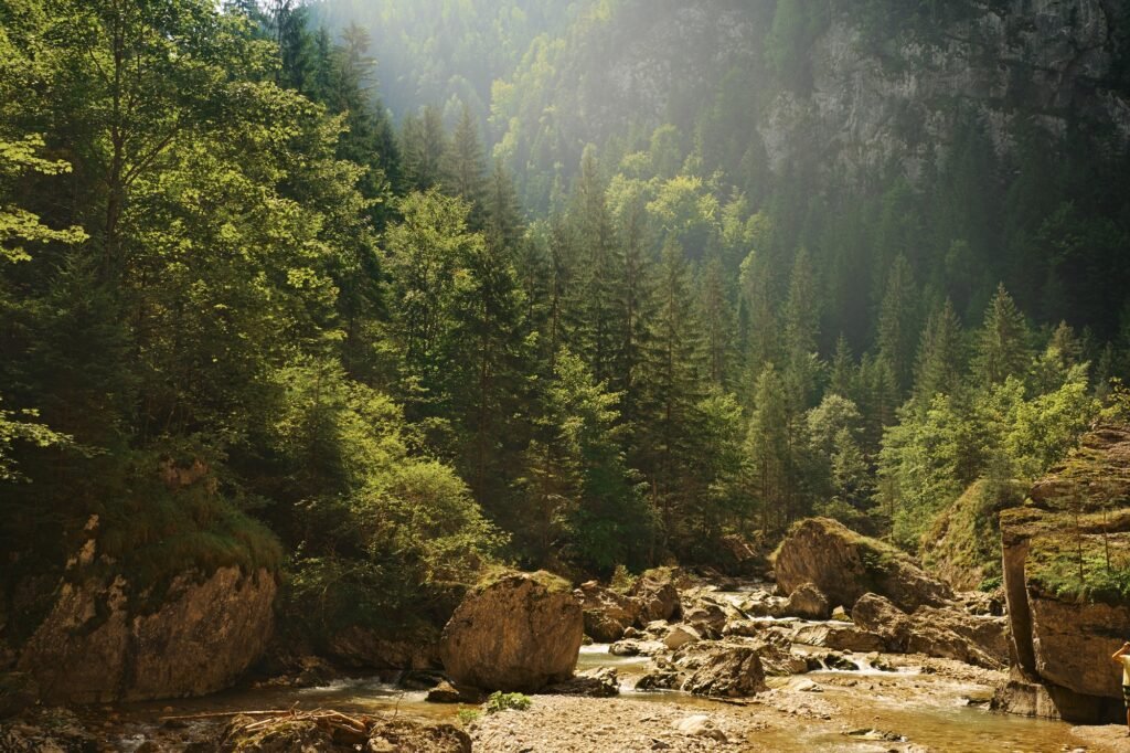 Mountain creek